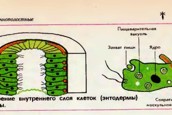 Ссылки омг омг мега